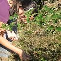 SAM_0330 (2)